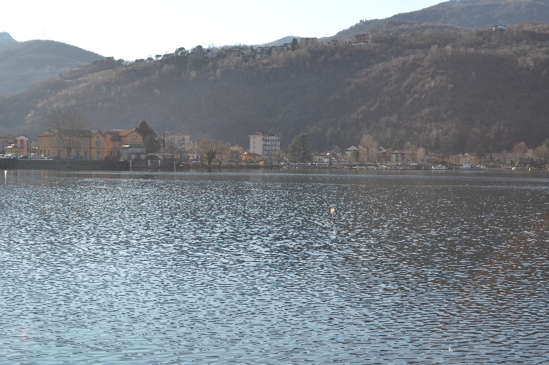 carnevale_porto_ceresio_2014 (082).jpg